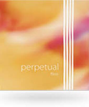 Perpetual Double Bass