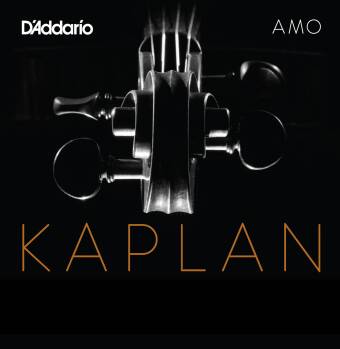Kaplan Amo Violin Set