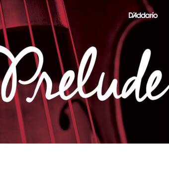 Prelude Double Bass D