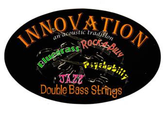 Innovation Polychrome Double Bass D